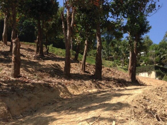 CAPE PANWA Ocean front land for sale ID.21LA003