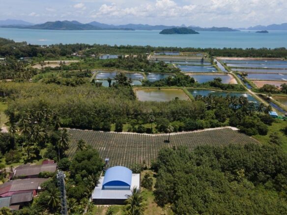 Near Ao por Marina Land for sale  ID.23PHL511