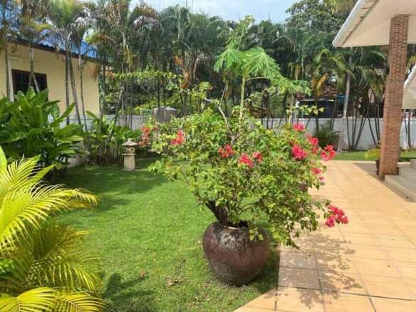Charming 6 bedroom villa located in the heart of Rawai ID.23RW6125