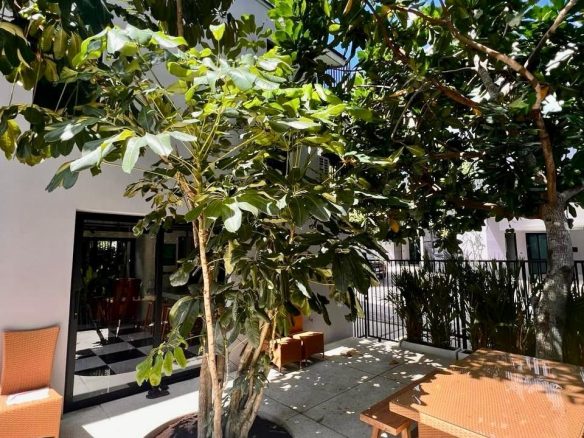 Phuket | Modern Style 4 Bedroom Pool Villa  The Wallaya Villas Harmony ID.24PS4178