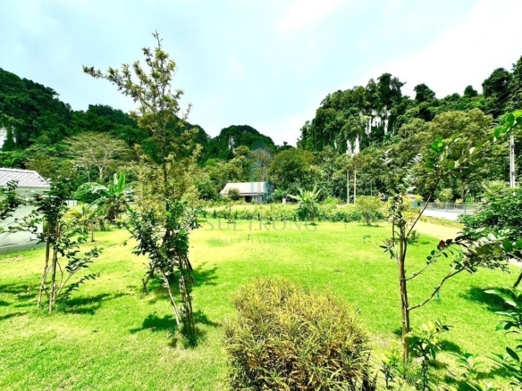 Krabi | 2-Storey House for Sale in Chong Pli  ID.24KR3022
